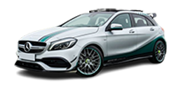 Mercedes-Benz AMG PETRONAS 2015 World Champion Edition Repairs