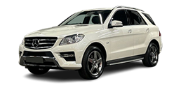 Mercedes-Benz M Class Suspension System Diagnostics